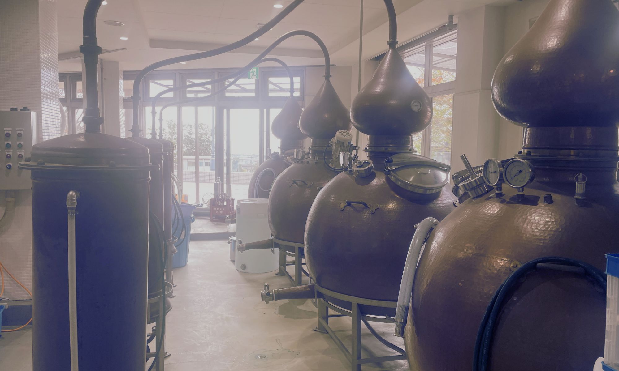 Calm brewery scene with stainless tanks and warm light